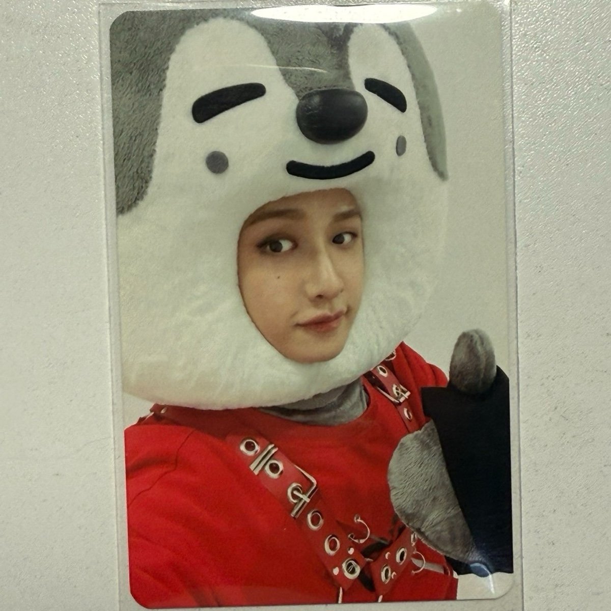 Straykids Bang Chan Noeasy Soundwave Skzoo Wolf Chan POB Photocard