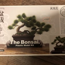 The Bonsai Model kit 盆栽 pretty rare