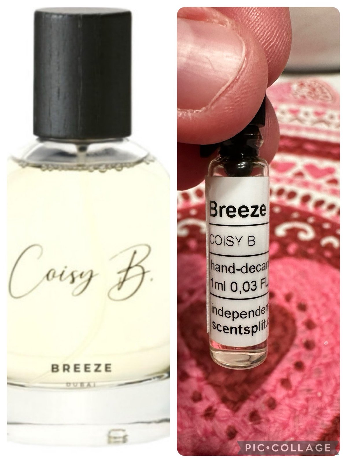 Coisy b breeze sample