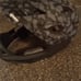 Bike Helmet