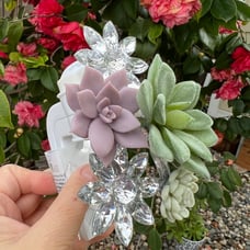 Bath & Body works wallflower Succulent crystal flowers plug