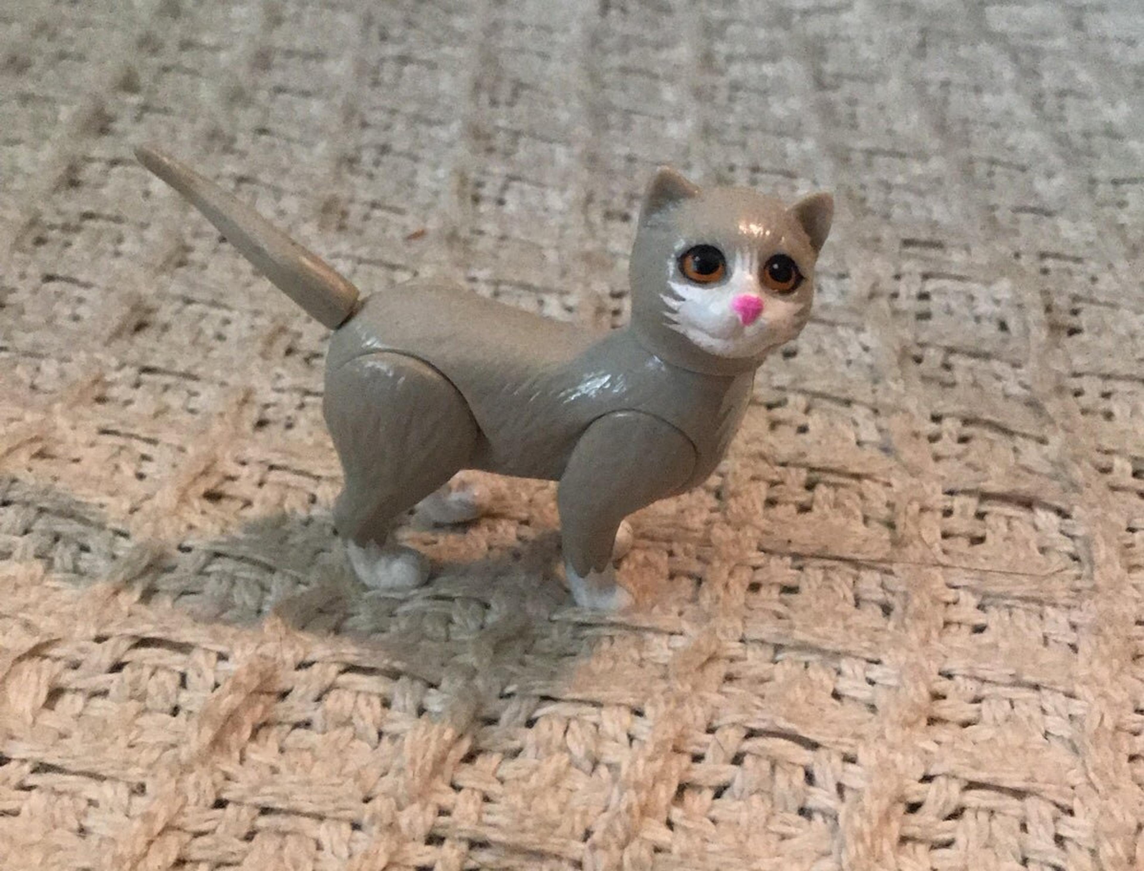 180695 - safe, artist:chibi-jen-hen, mighty the armadillo (sonic), canon x oc, oc, oc:crystal the cat, armadillo, cat, feline, mammal, archie sonic the hedgehog, sega, sonic the hedgehog (series), 2015, bandage, blue eyes