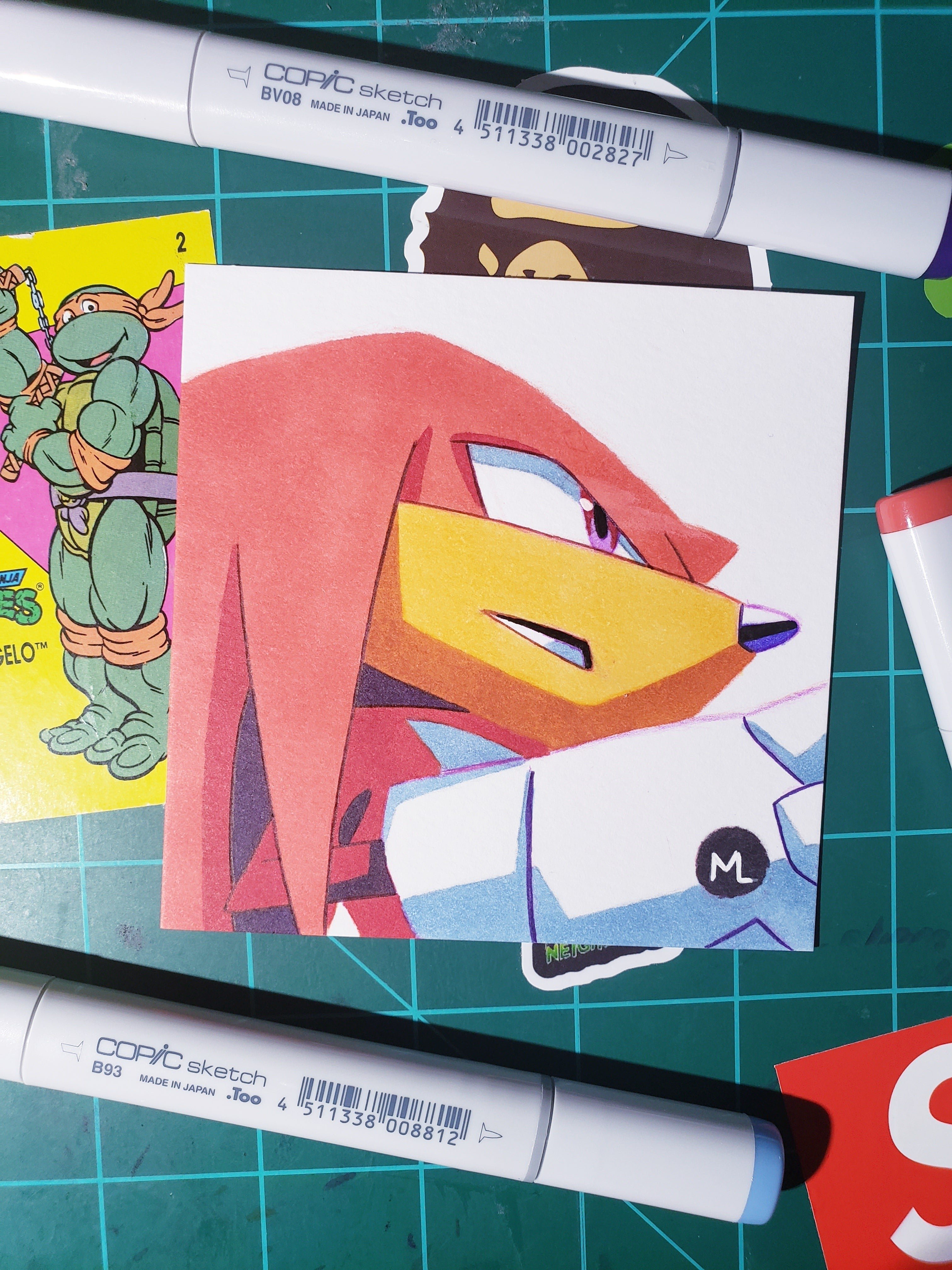 Knuckles The Echidna Drawing.
