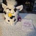 White Dalmation Furby