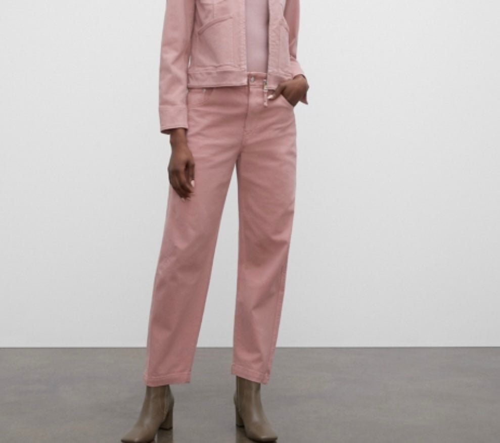 CLUB MONACO Tea Dyed Darted High Rise Relaxed Fit Jeans In Rose Sz 30 NWT