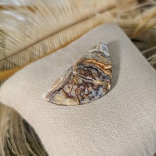 Crazy Lace Agate Designer Cut Cabochon S098