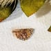 Crazy Lace Agate Designer Cut Cabochon S098