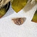Crazy Lace Agate Designer Cut Cabochon S098