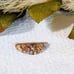 Crazy Lace Agate Designer Cut Cabochon S098