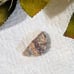 Crazy Lace Agate Designer Cut Cabochon S098