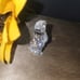 Swarovski