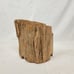 Ohio River Driftwood 14.5 x14 x7.5