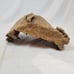 Ohio River Driftwood 14.5 x14 x7.5