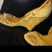 Gucci platform size 8