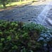Heavy Duty Garden Barrier Geotextile Fabric for Underlayment **Brand New**