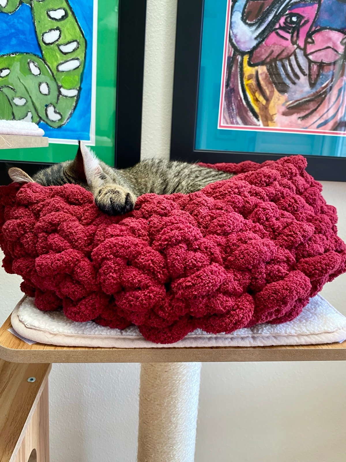 Hand Crochet Pet Bed - Chenille Cat Bed - Handmade - Medium Cat Bed - Cat Bed -