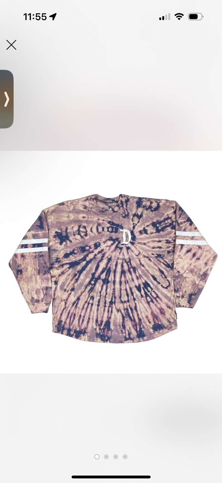 Disneyland Spirit Jersey