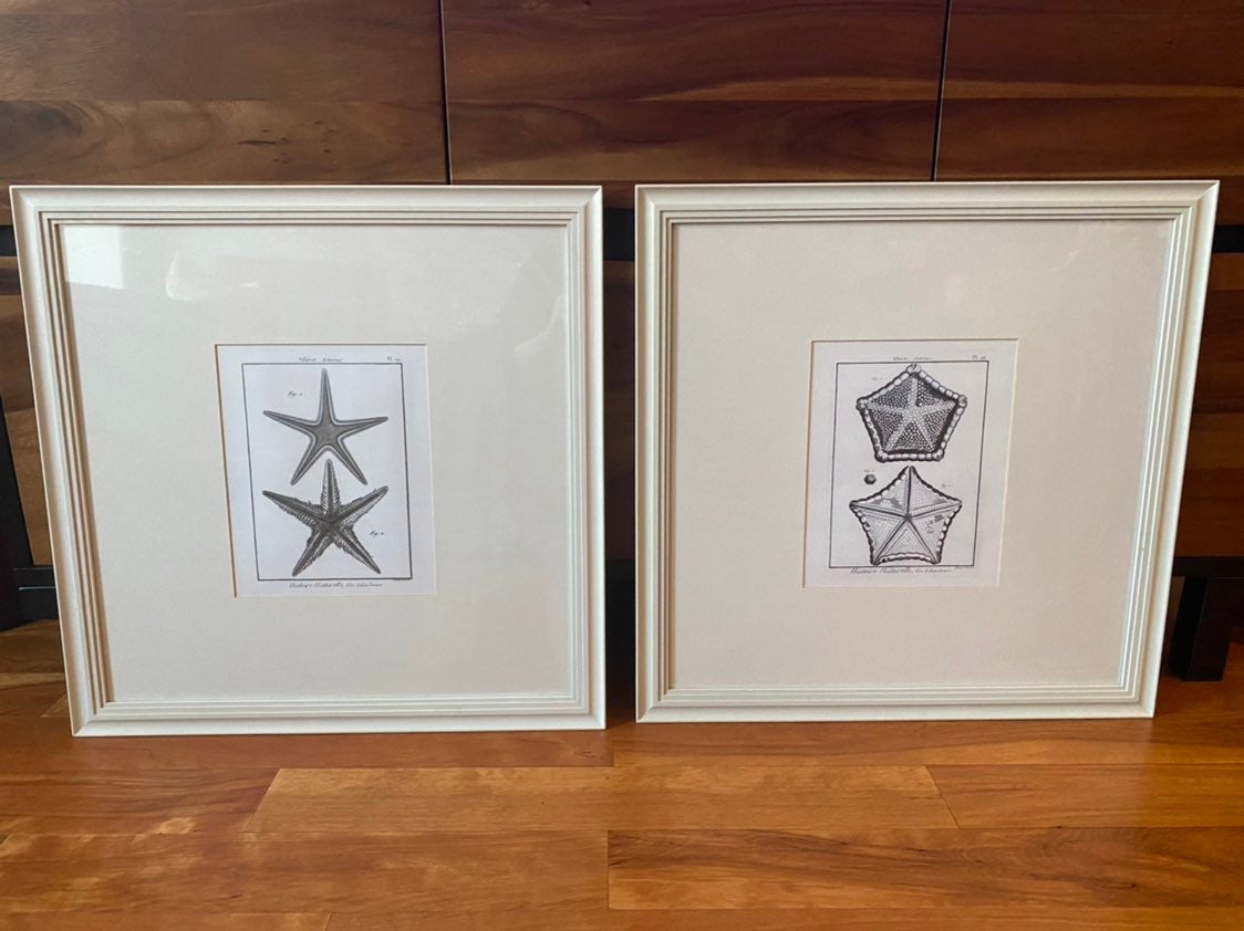 Limited Edition Pottery Barn Starfish Framed Prints (Pair)