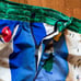 Ralph Lauren Riviera shorts (limited ed)