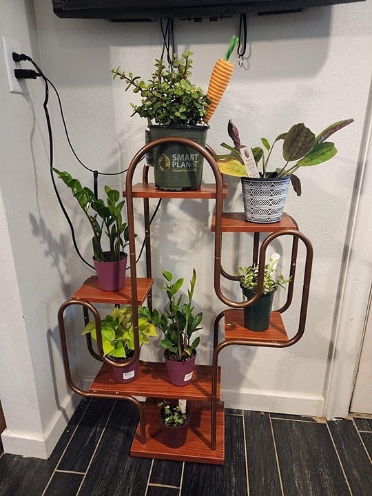 Tikea Cactus Plant Stand Indoor, Corner Plant Shelf for Indoor Plants Multiple