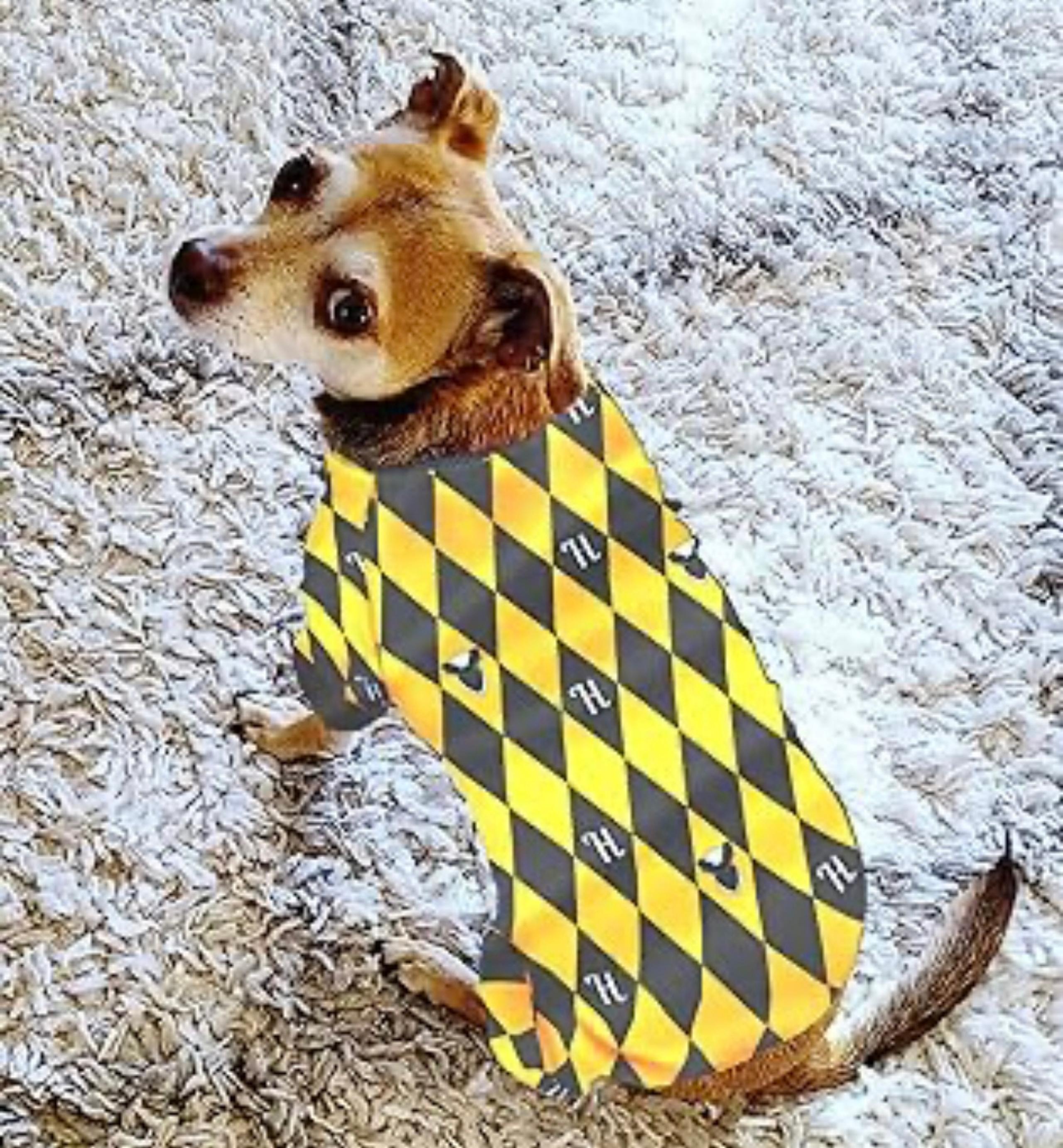 Dog Pajamas for Small Dogs Breed Soft Puppy  Jumpsuit Comfortable Pet Clothes