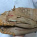 Rawlings Baseball Glove Bobby Bonilla RBG70 RH 11.5 Autograph Model Good Usable