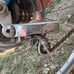 schwinn bike