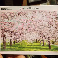 Puzzle Life Cherry Blossom Korea 1000 Piece Jigsaw Puzzle