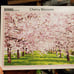 Puzzle Life Cherry Blossom Korea 1000 Piece Jigsaw Puzzle