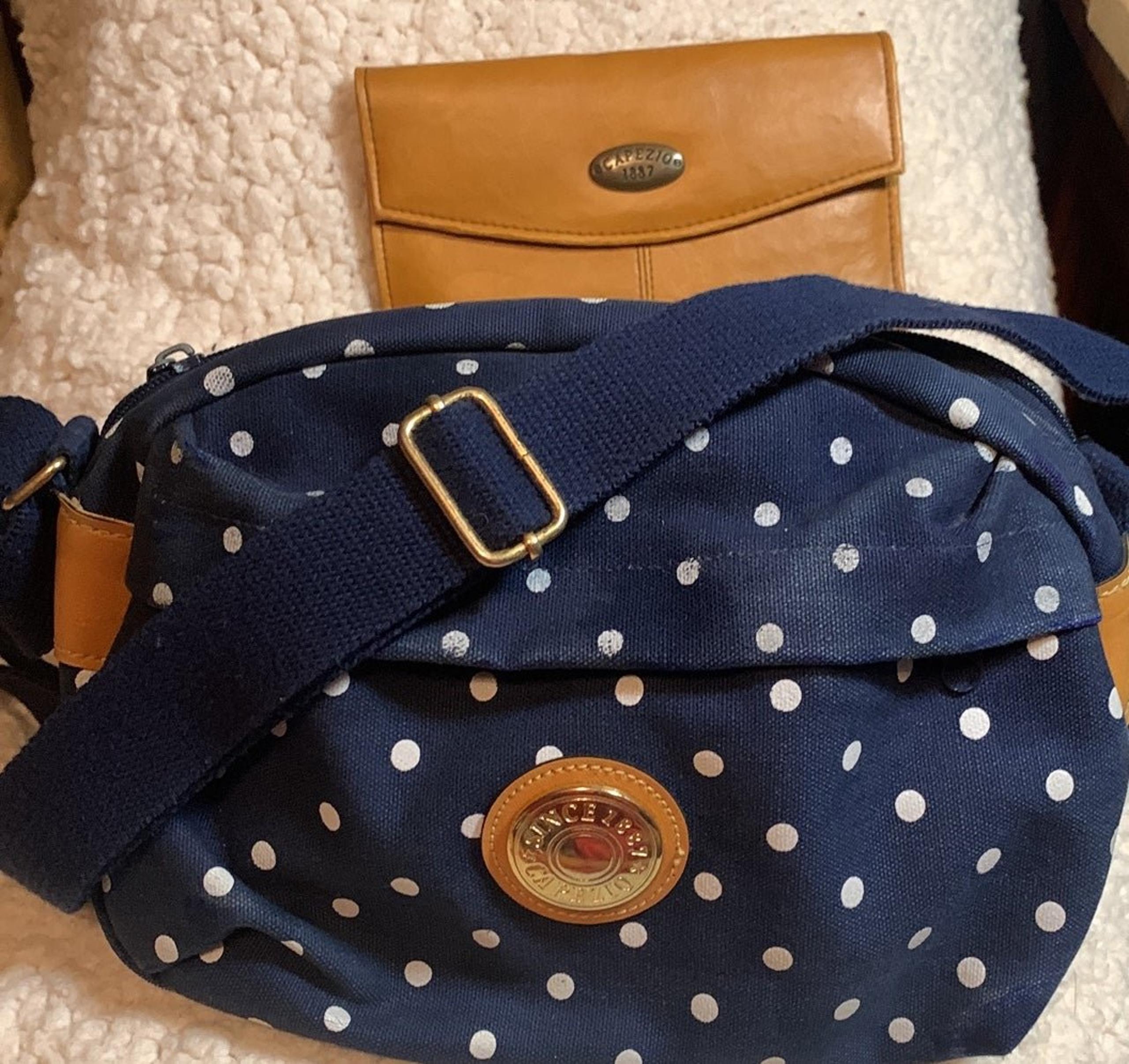 Capezio Crossbody & wallet