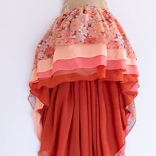 Pleiades Floral Chiffon Dress