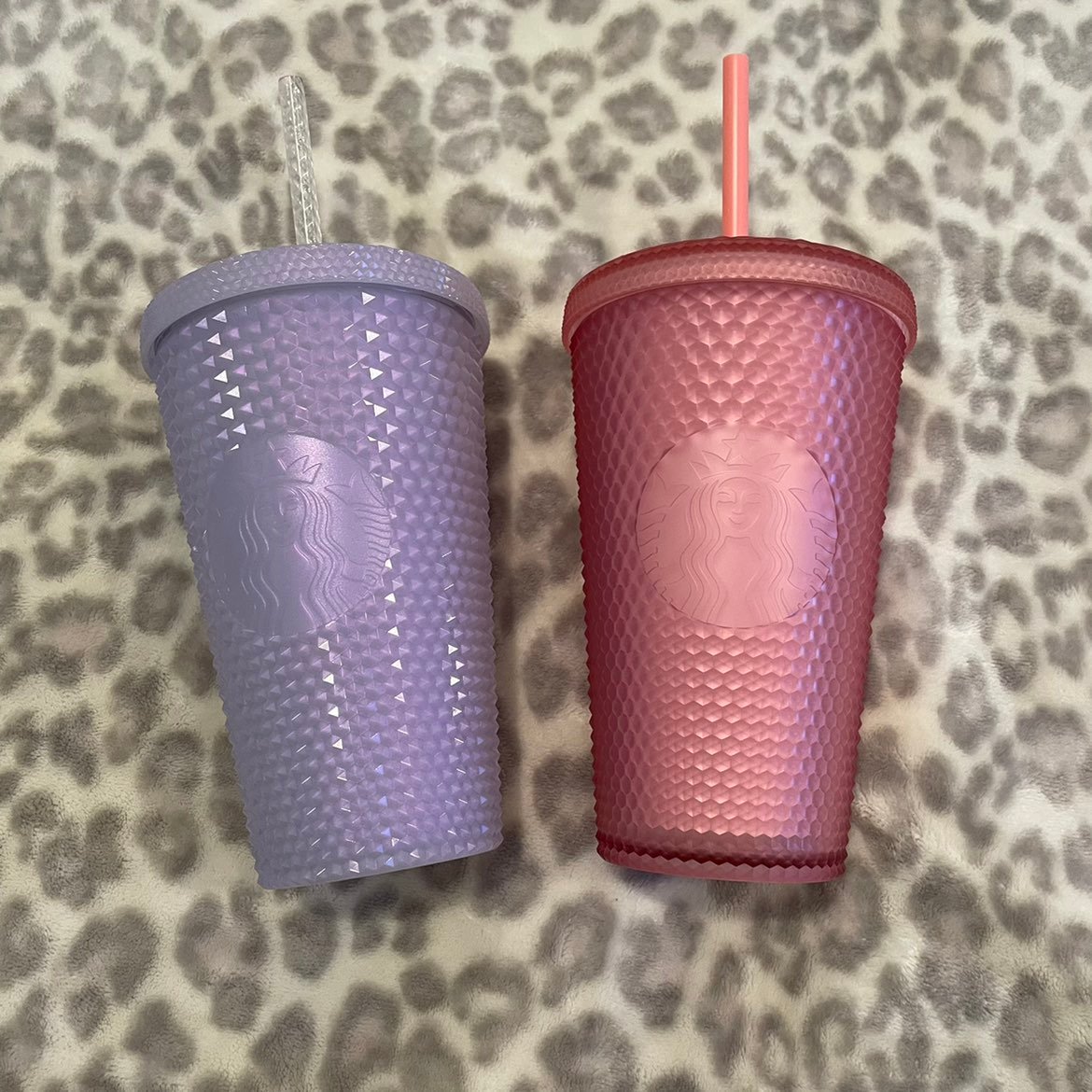 Starbucks Grande Studded Set