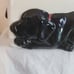 Big Sky Carvers Canine Cookie/treat Jar Phyllis Driscoll Black Lab 11 Tall