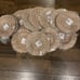 Set of 13 Banana Bark Chargers/Placemats