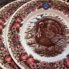 Set of 2 Royal Stafford Turkey Dinner Plates New Thanksgiving Lodge