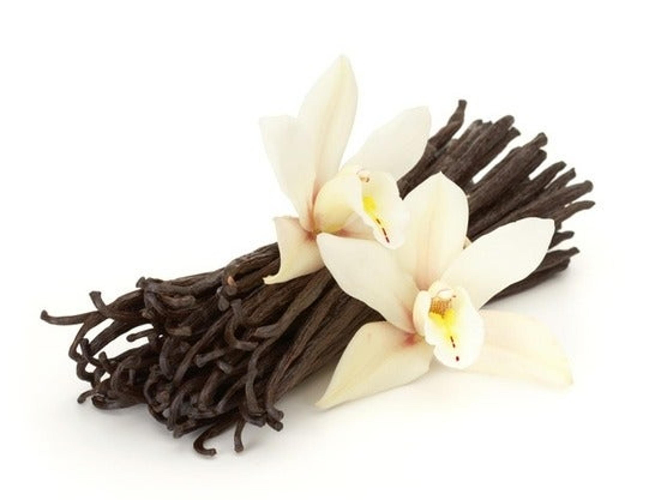 Vanilla Essential Oil