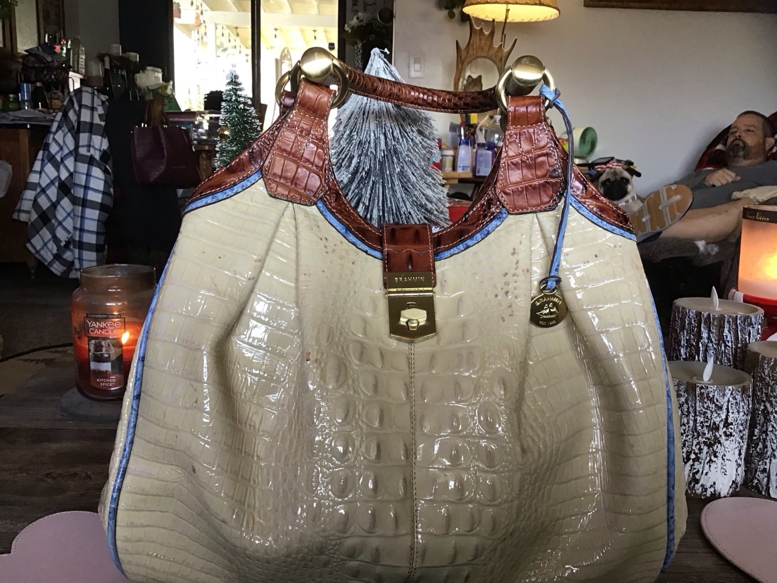 Brahmin Elisa Hanbag