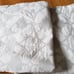 Pottery Barn Euro Shams