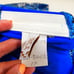 Becca Snakeskin One Piece Blue 1X