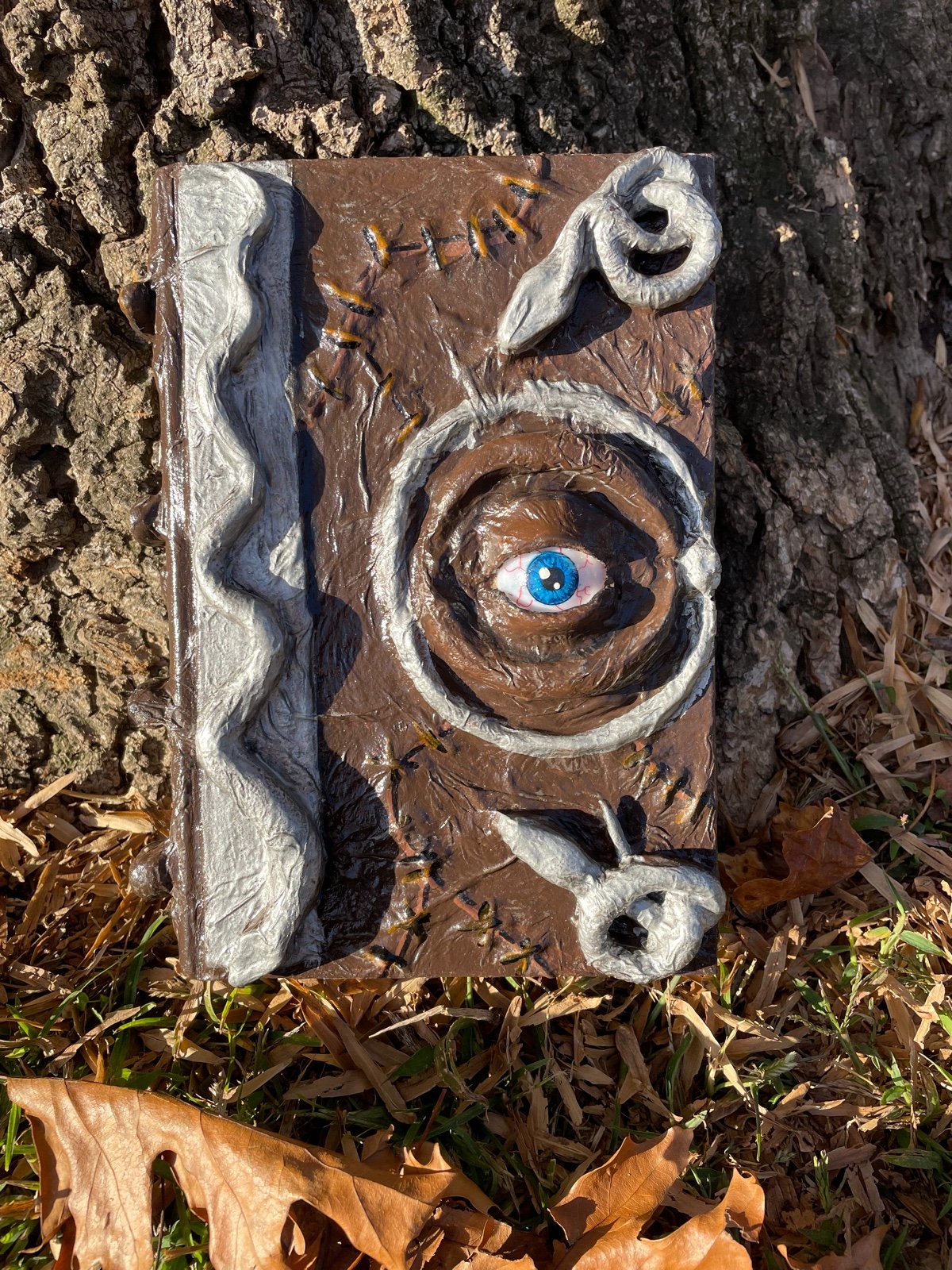 Hocus pocus book