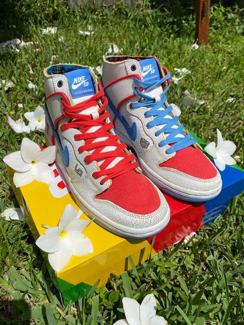 Nike dunk sb