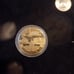 U.S Seal gold coin uncirculated**