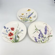 Set Of 3 RARE PIER 1 Wild Flowers Ironstone Salad Plates 9