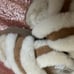 UGG Disco Cross Slide Sheepskin Platform Slippers Womens Sz 8 Chestnut 1121550