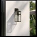 Pia Ricco 1- Light Matte Black Outdoor Wall Lantern Sconce Clear Glass Farmhouse