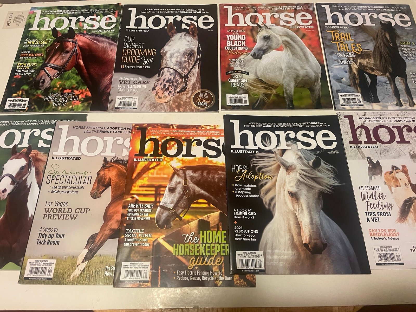 Horse illustrated magazine lot