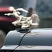 Coyote Trucks Hood Ornament Cartoon Vintage Car Ornaments