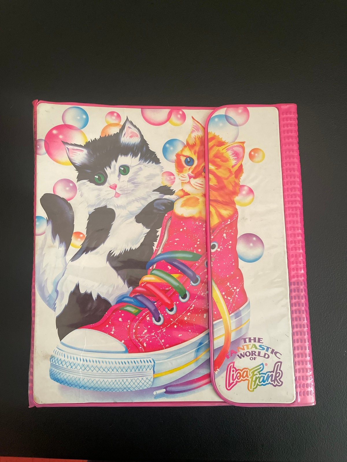 Lisa Frank binder