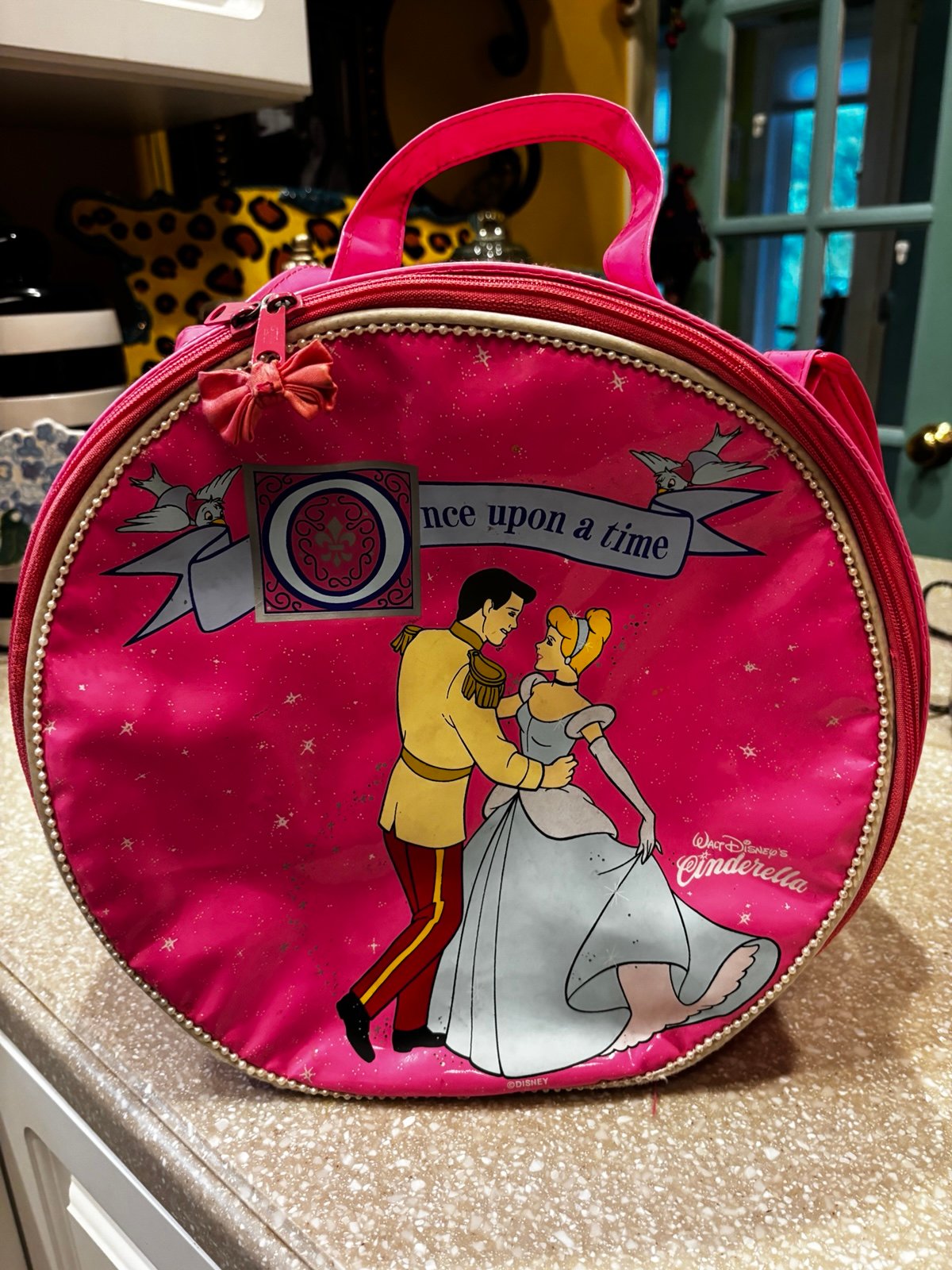 Cinderella Case