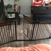 Dog/child gate